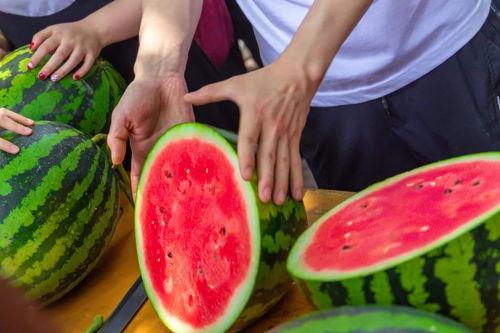 吃瓜最新免费,最新免费生成攻略大公开  第1张